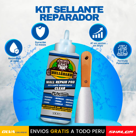KIT SELLANTE REPARADOR EDICION2